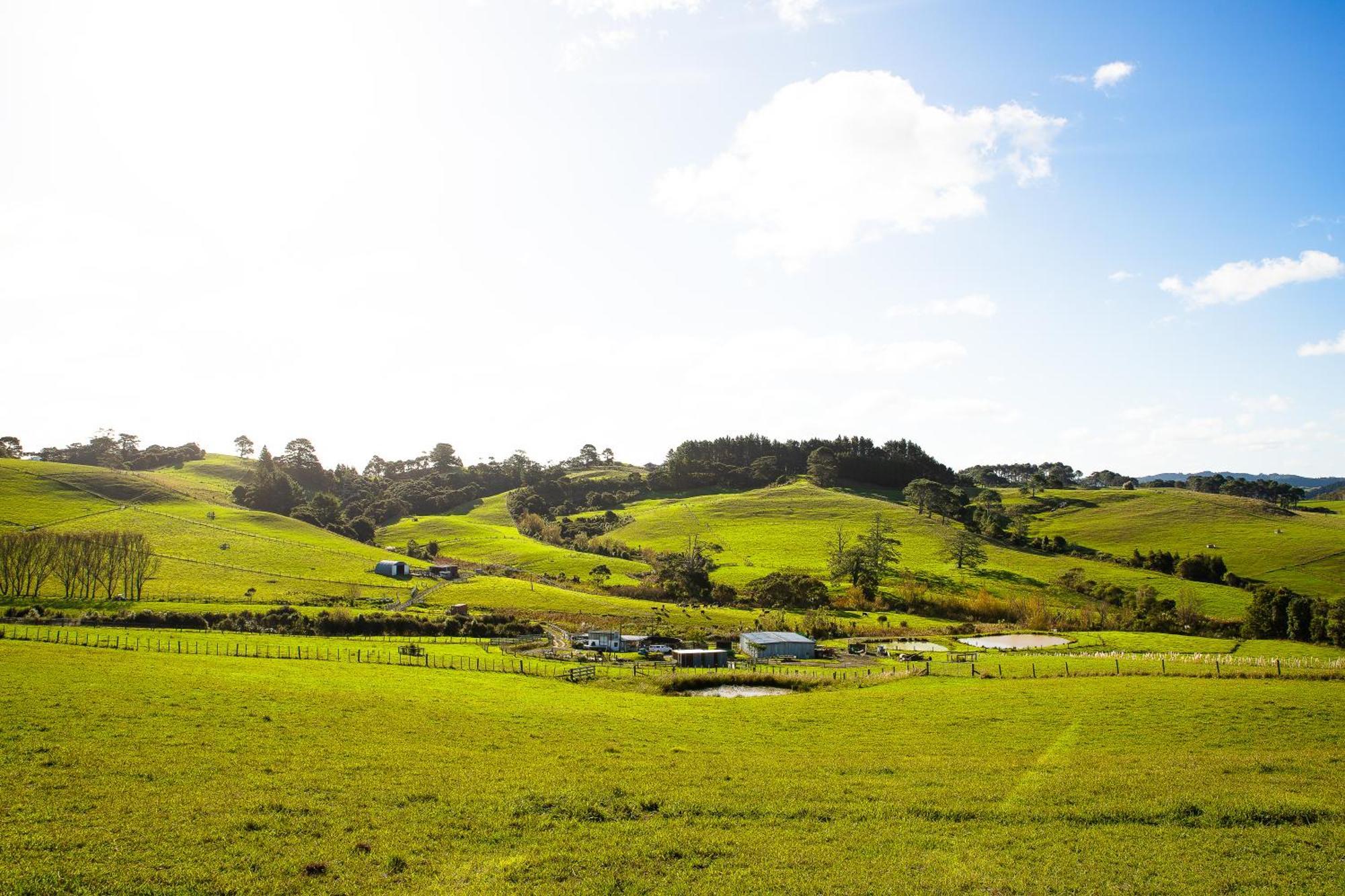 Bever Farm Waitoki Bagian luar foto